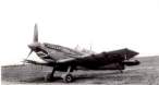 Copy of spitfire0001(2).jpg