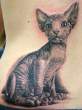 hairless-cat-tattoo-m.jpg