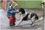 doggy1.jpg
