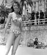 13856_brigitte_bardot08_122_257lo.jpg