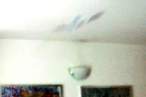 Stir-1-H FinalLet1 2sm.jpg