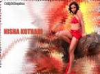Nisha Kothari 52.jpg