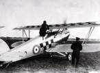 Hawker Fury 43sqn sm.jpg