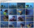 34121_bb_sk_07_preview_122_98lo.jpg