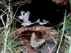 DSC00445.JPG