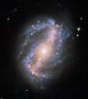 Barred Spiral Galaxy NGC 6217.jpg