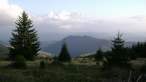 DSC02558.jpg