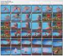 thumbs20090923125315.jpg