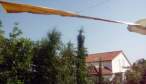JoLe-1 V3 fl.11 00s.jpg