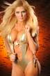 torrie_wilson_new_pics_images_7_big.jpg