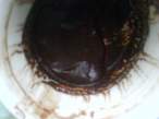 DSC00051.JPG
