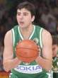 bodiroga006.jpg