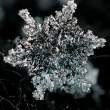 snowflake1.jpg