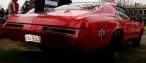 DSC08526.jpg