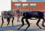 big-dog-robot-large.jpg