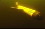 Underwater whale guard robot 2.jpg