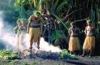 FireWalkingFijiCulturCentDeuba.jpg