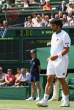 Janko-Tipsarevic034.jpg