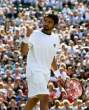 Janko-Tipsarevic035.jpg