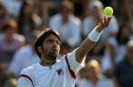 Janko-Tipsarevic053.jpg