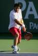 Janko-Tipsarevic071.jpg