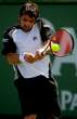 Janko-Tipsarevic077.jpg