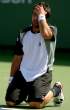 Janko-Tipsarevic079.jpg