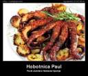 hobotnica-paul-15456.jpg