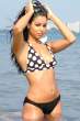 100611f1_fakih_r_b-gr_01.jpg