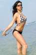 100611f1_fakih_r_b-gr_01_2.jpg