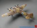 IDF Bof  3.jpg