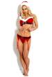 jenny_poussin_xmas_2.jpg