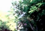 DWF-1 test2 fl1 03sm.jpg