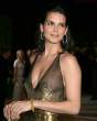 angie-harmon-seethrough-nipple-visible-001.jpg