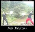 kame-hame-talas-86530.jpg