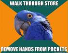 1296945286111_Paranoid_Parrot-s400x311-133396-580.jpg
