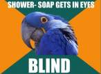 paranoid-parrot-meme-3-e1289328898779.jpg