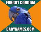 paranoid-parrot-meme-22.jpg