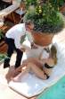 Hilary Swank  Bikini at the pool  Italy0005.jpg