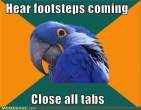 Paranoid+Parrot_dee78c_2325490.jpg