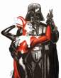 vader1-465x591.jpg