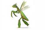 real-life-pokemon-new8-465x310.jpg