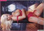 torriewilson089bh1lknl1.jpg