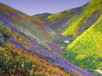 gorgeous_iranian_nature_photos_640_11.jpg