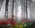 gorgeous_iranian_nature_photos_640_12.jpg