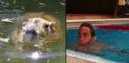 many_capybaras_look_like_rafael_nadal_640_01.jpg