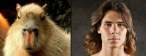 many_capybaras_look_like_rafael_nadal_640_03.jpg