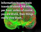 curious_facts_about_our_brain_640_16.jpg