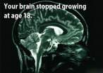 curious_facts_about_our_brain_640_18.jpg