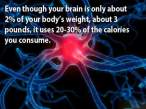 curious_facts_about_our_brain_640_20.jpg